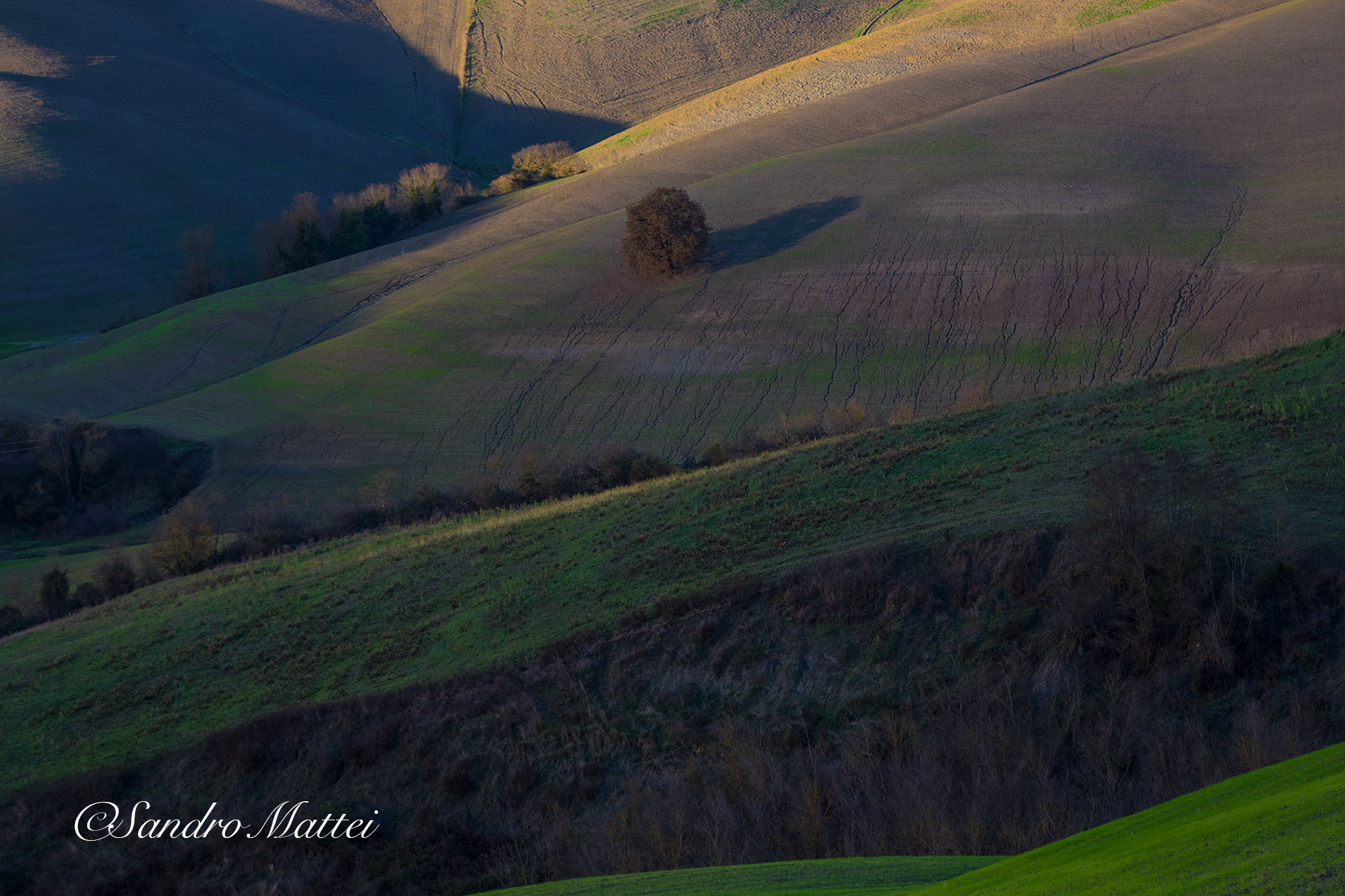 Crete senesi