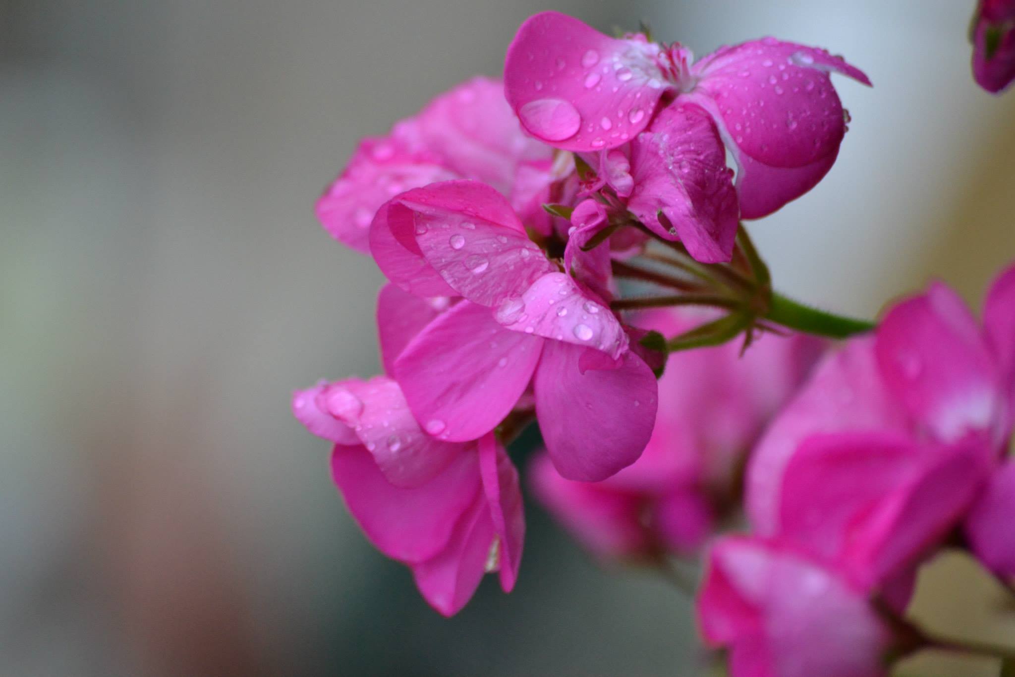 Dopo la tempesta, arriva la tranquillità