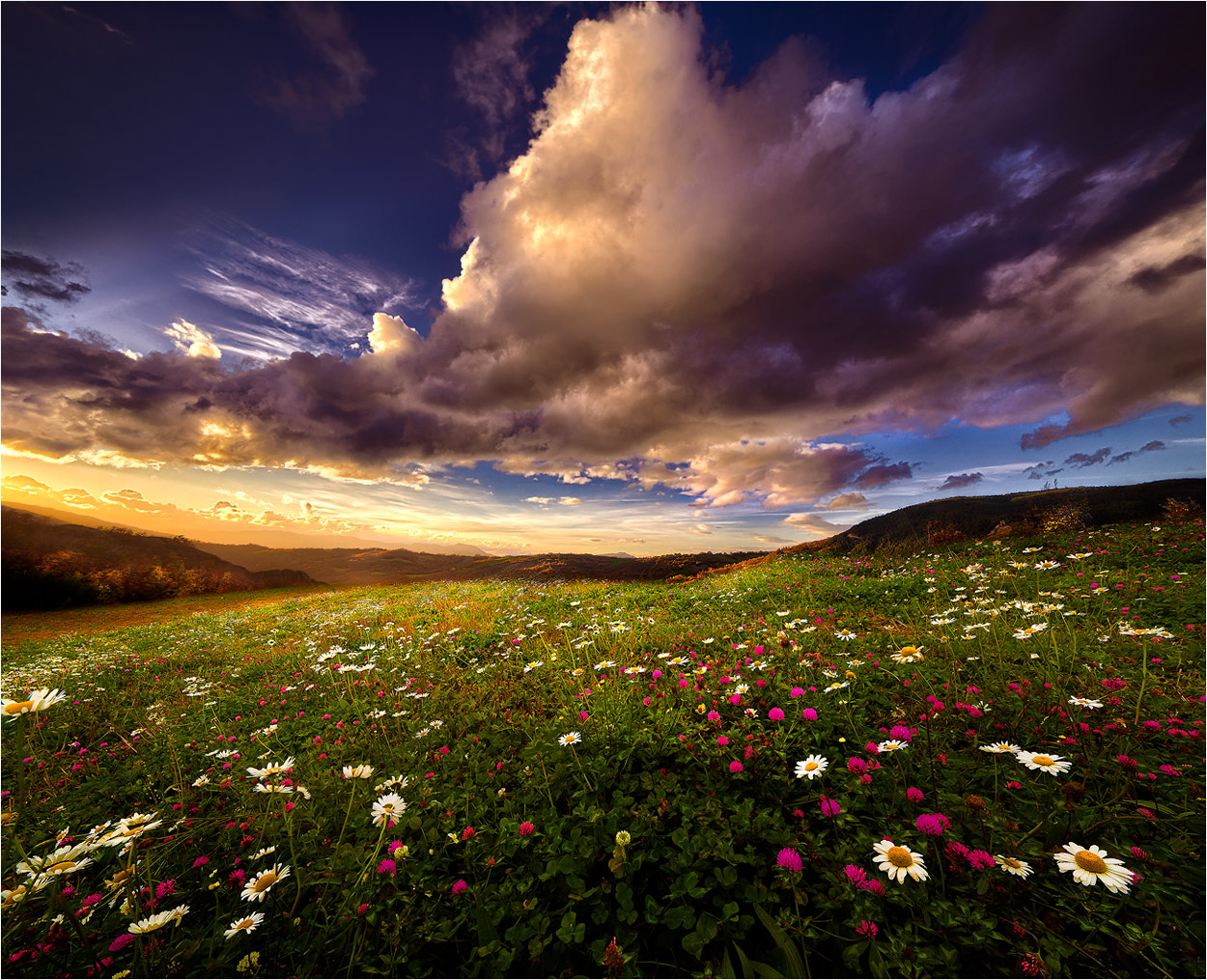 Gli ultimi colori di un caldo autunno