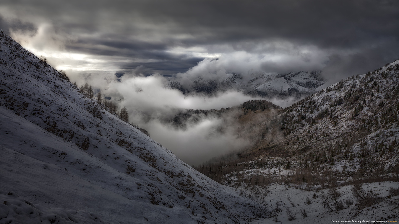 Wildernes is coming back