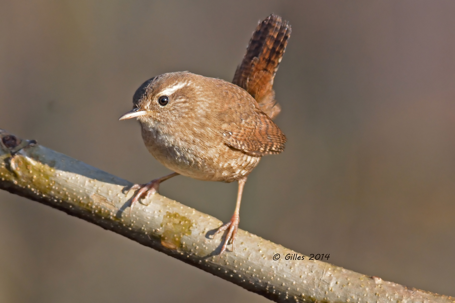 ...a tu per tu col piccolino...
