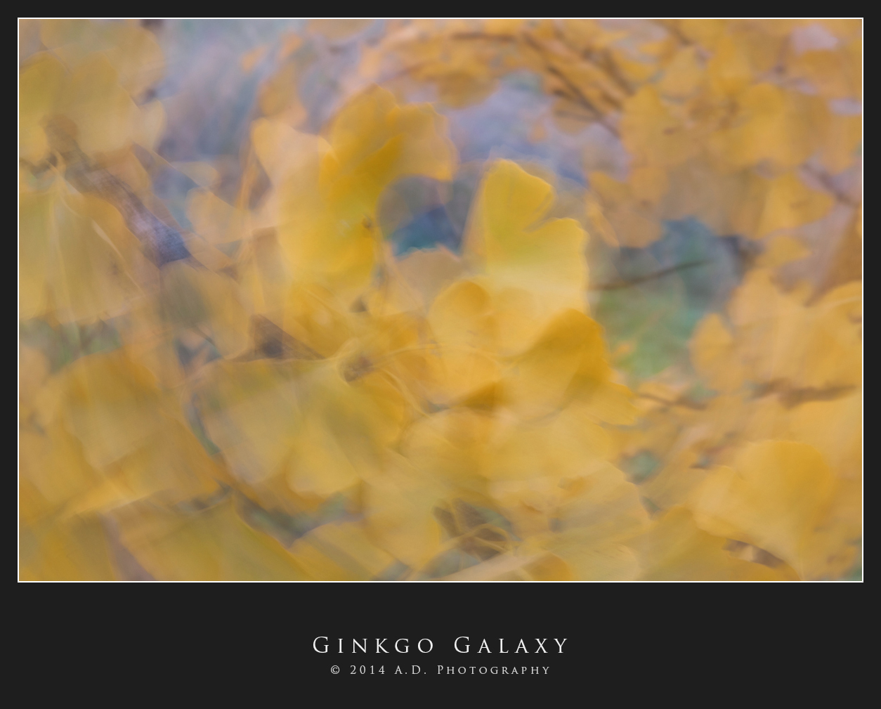 Ginkgo Galaxy
