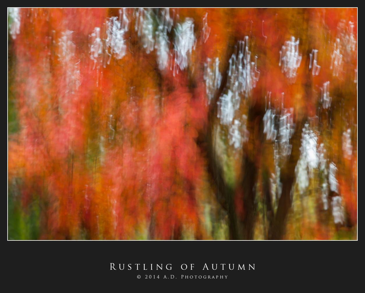 Rustling of Autumn