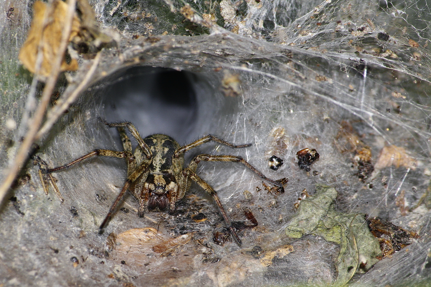 Lasciate ogni speranza voi che entrate