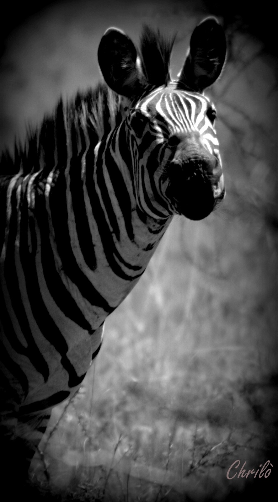 hey, what's your problem?