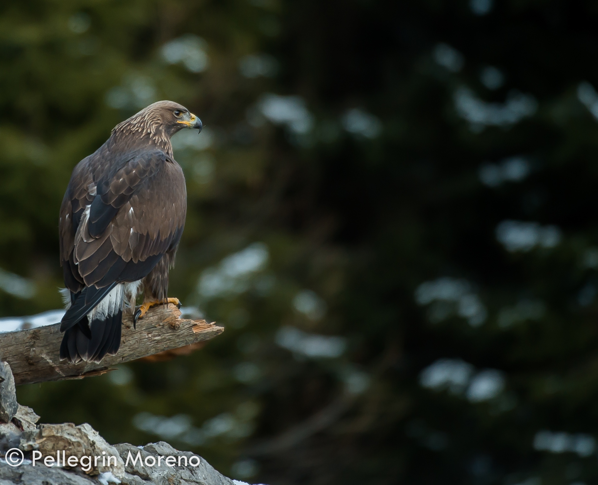 Con lo sguardo nel vuoto