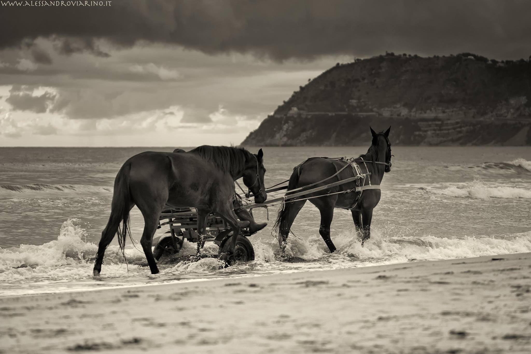 The training samples