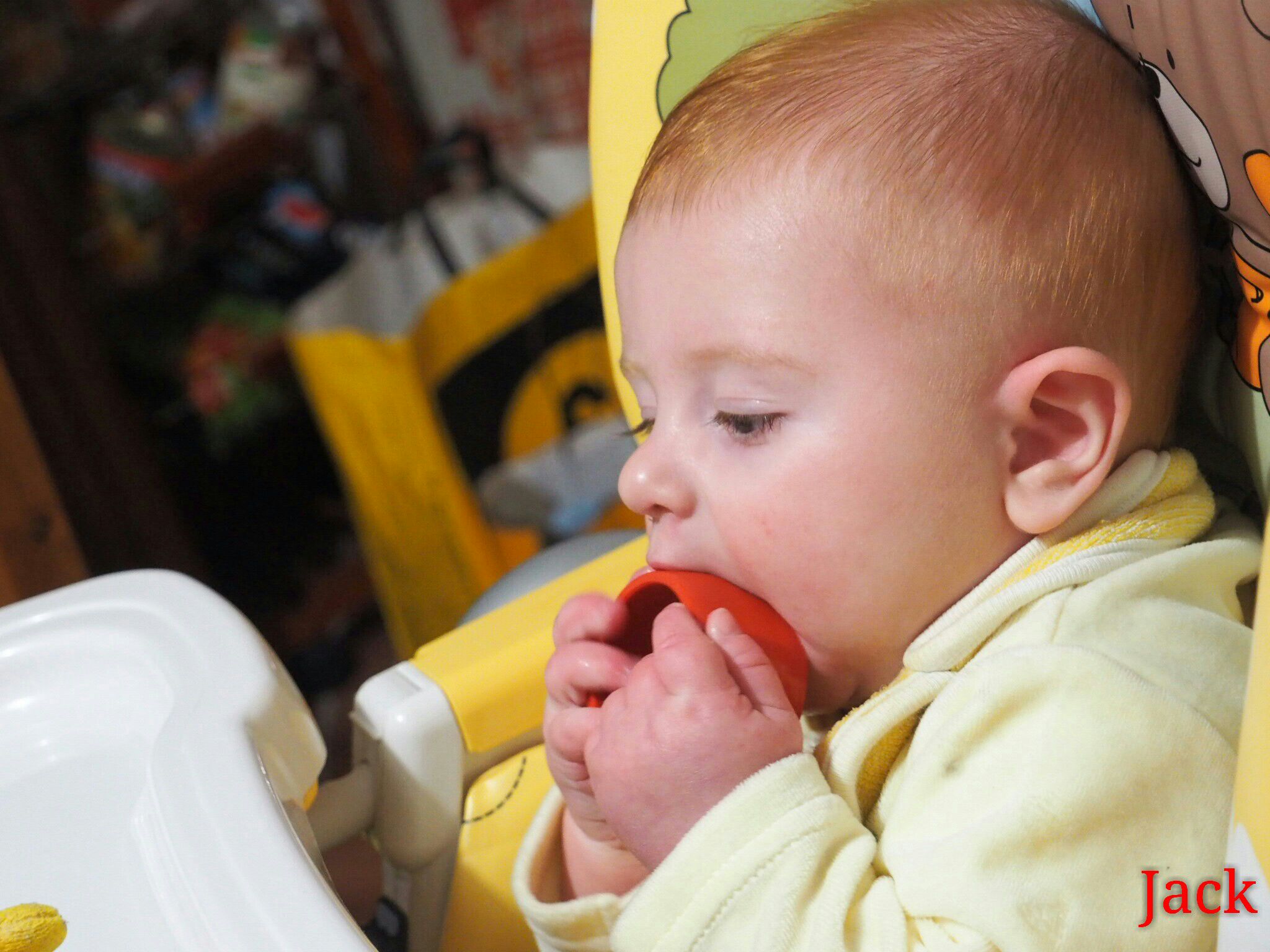 First photos with the new purchase olympus omd10