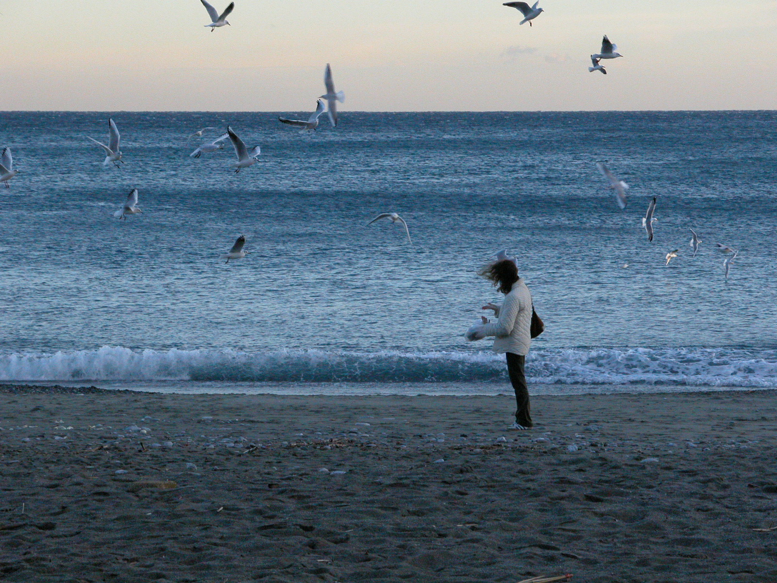 La Donna dei gabbiani