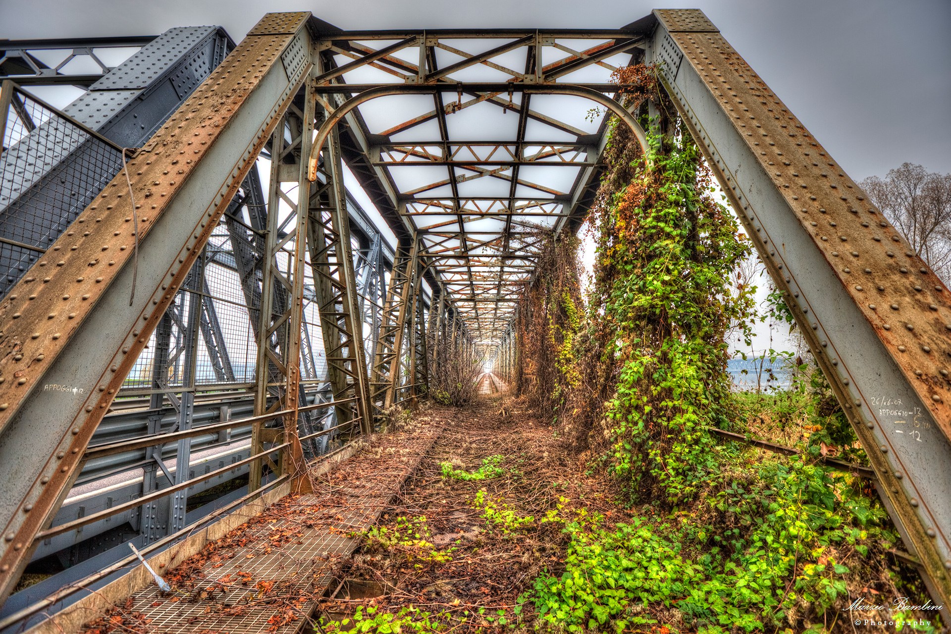 ... And in the end nature tick