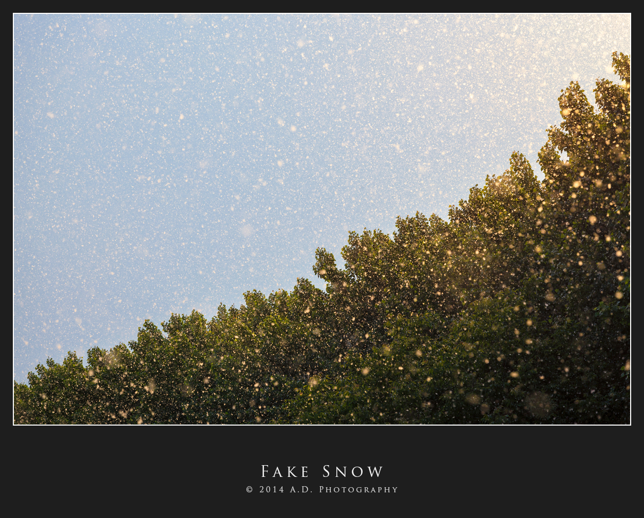 Fake Snow