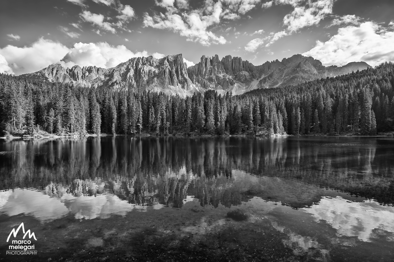 Carezza in grey scale