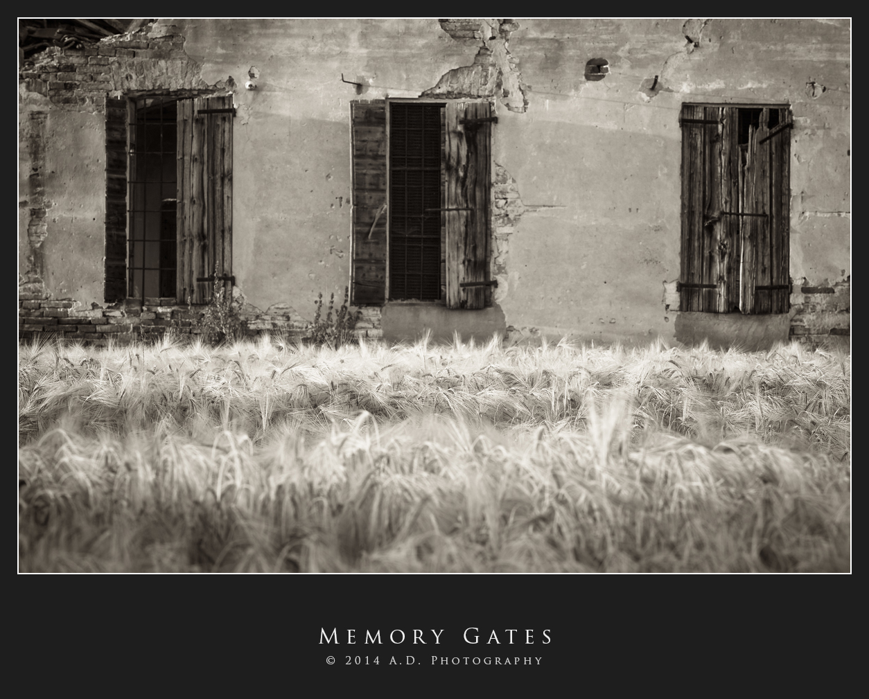 Memory Gates