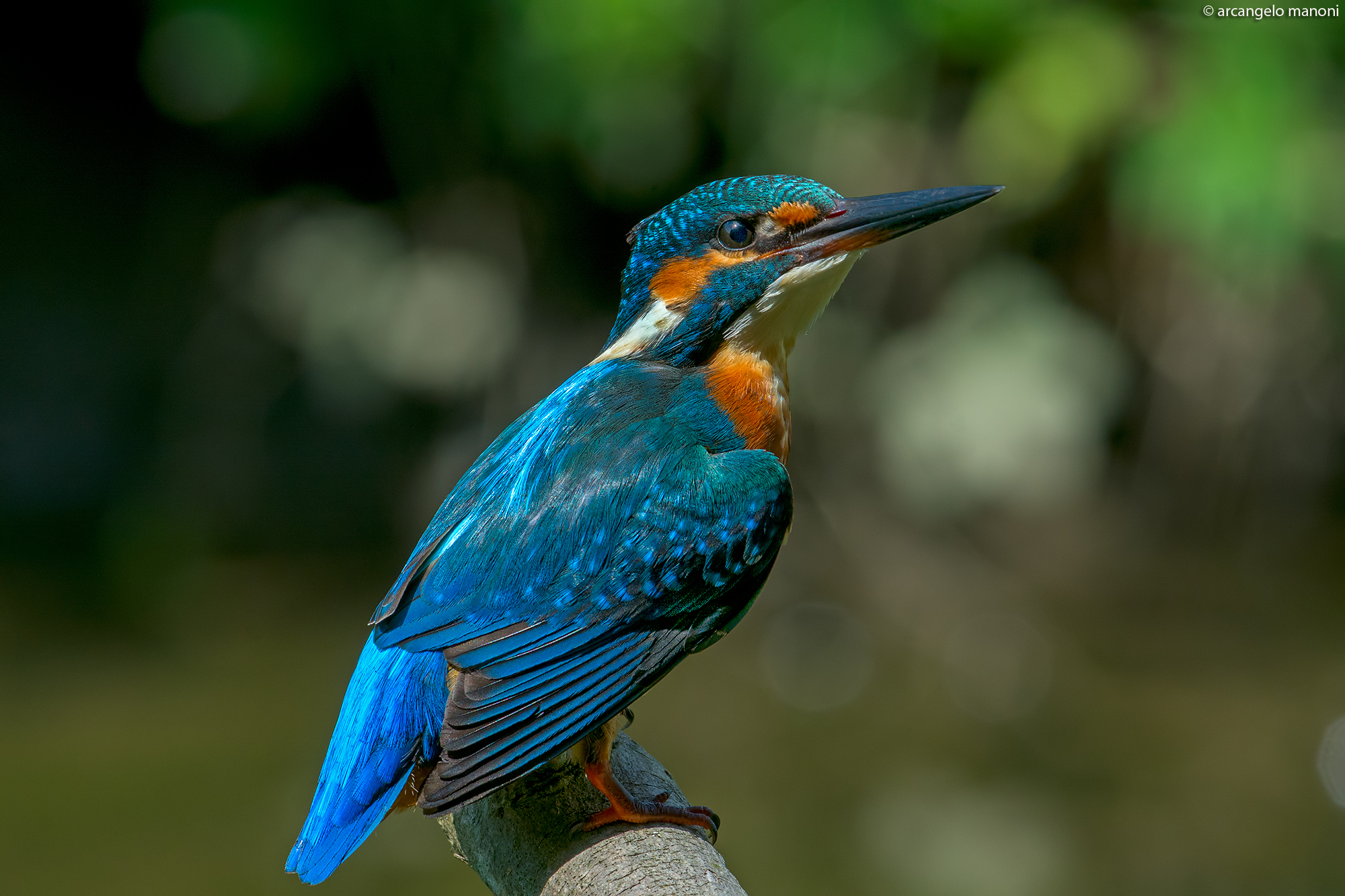 Before the stroke of lightning blue