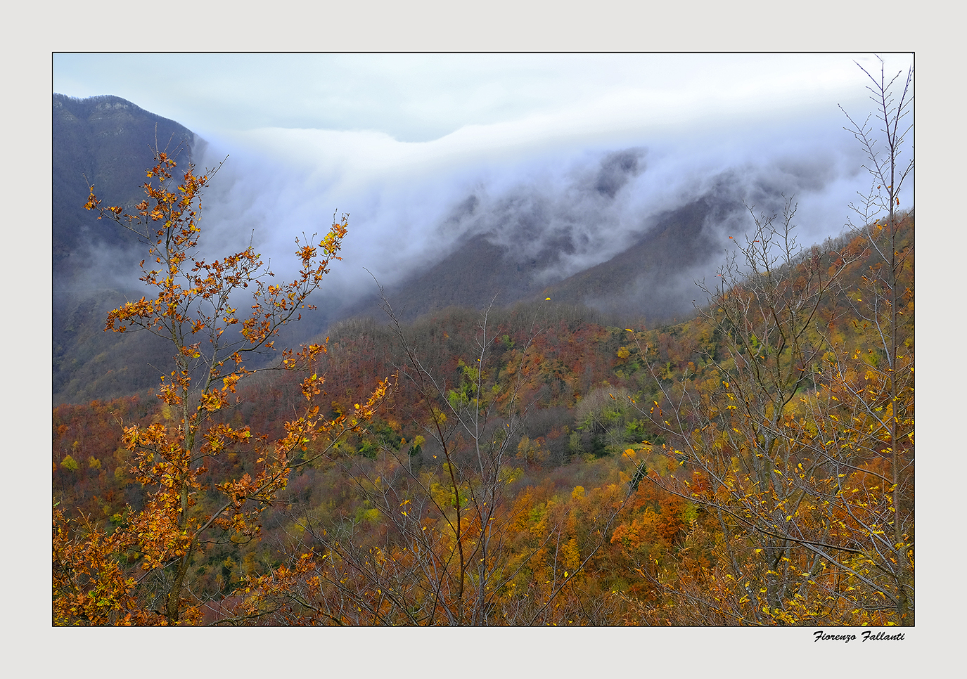 ...Il gelido alito dell'inverno...