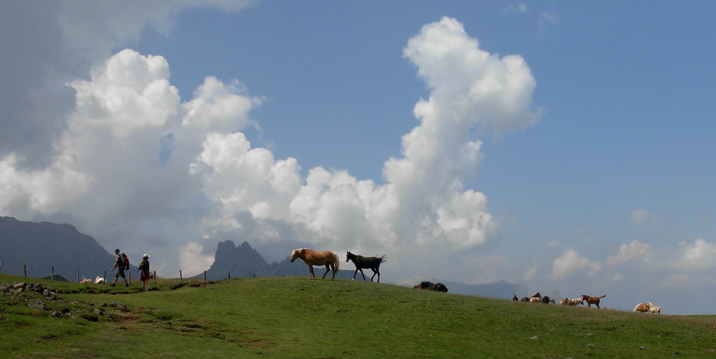 Camminando sui monti...