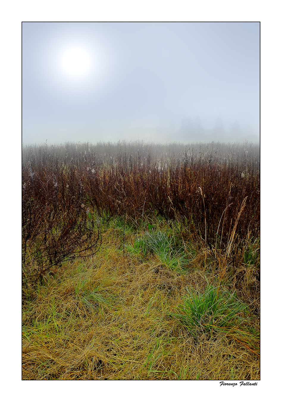 ... Prime mists in the suburbs ...