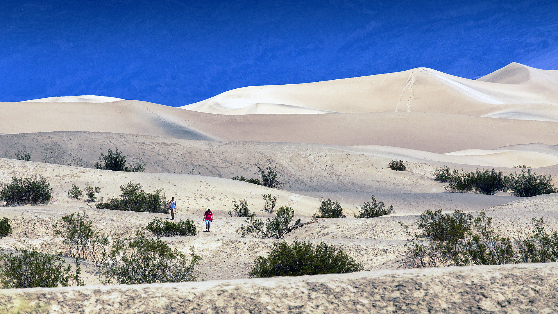 Inoltrarsi tra le dune