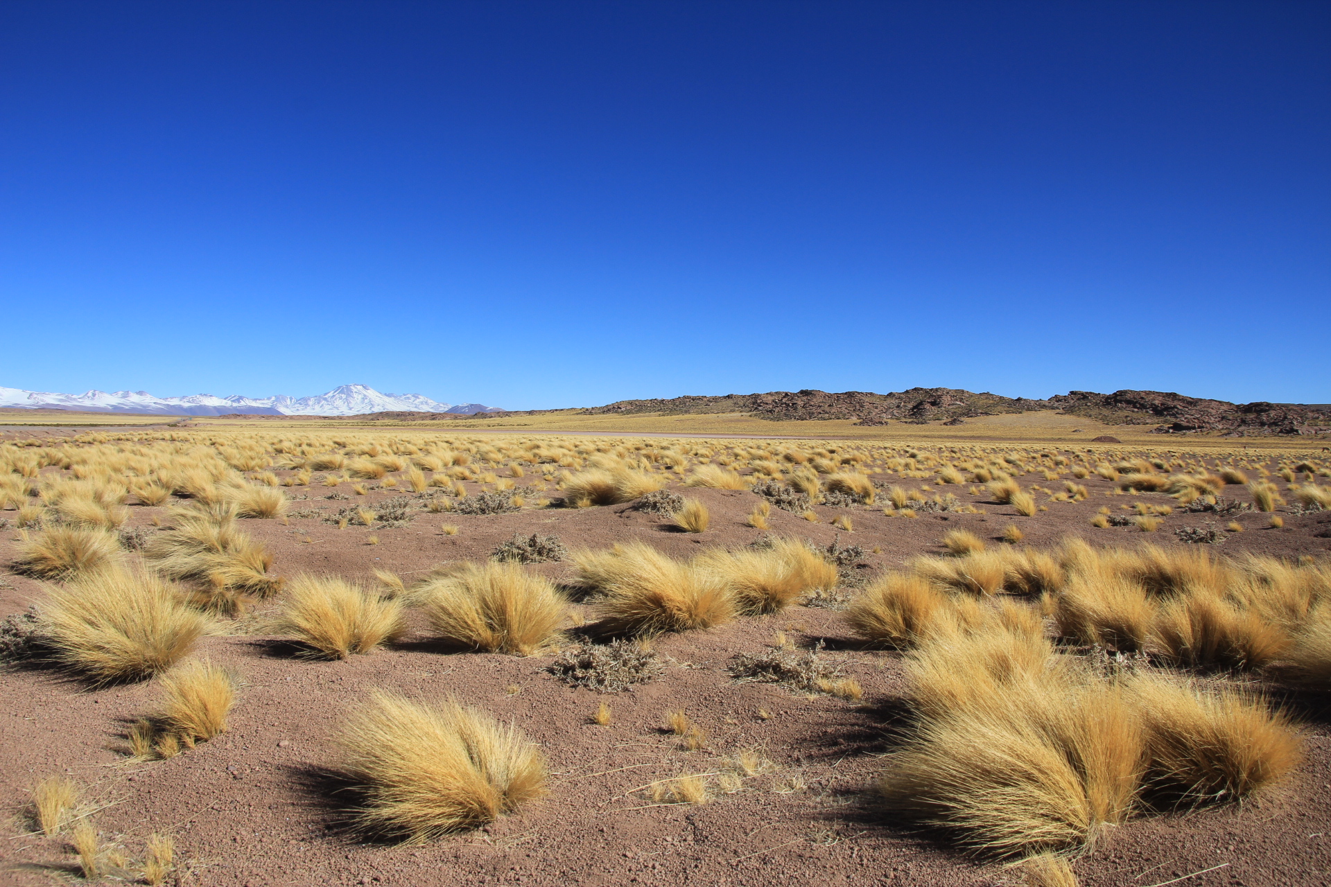 Landscape of Atacama