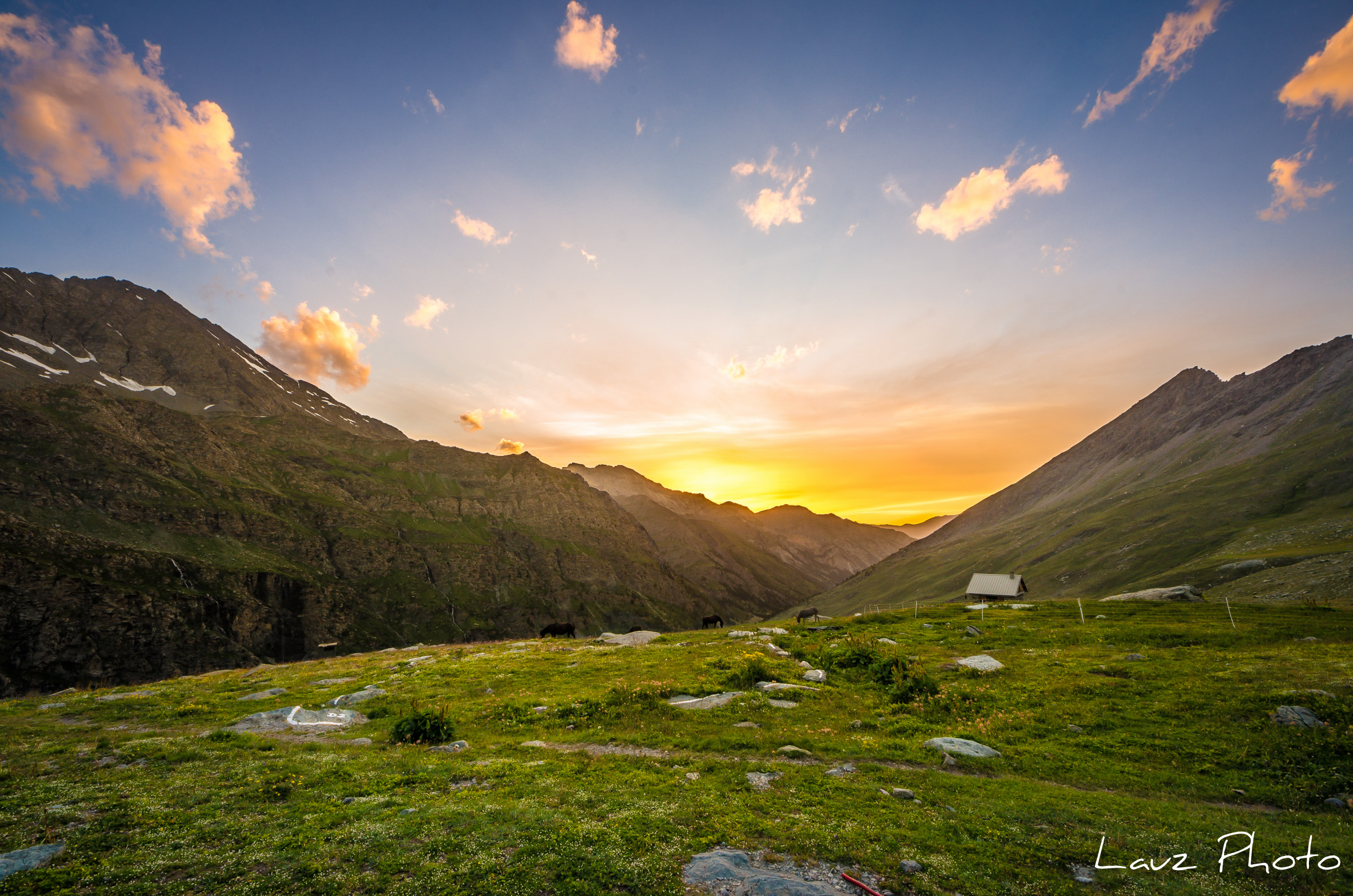 Memories of a summer