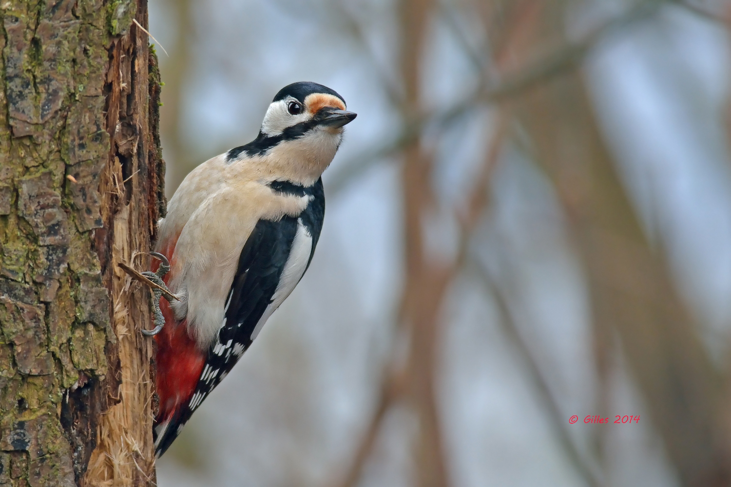 ... But who are you? ....