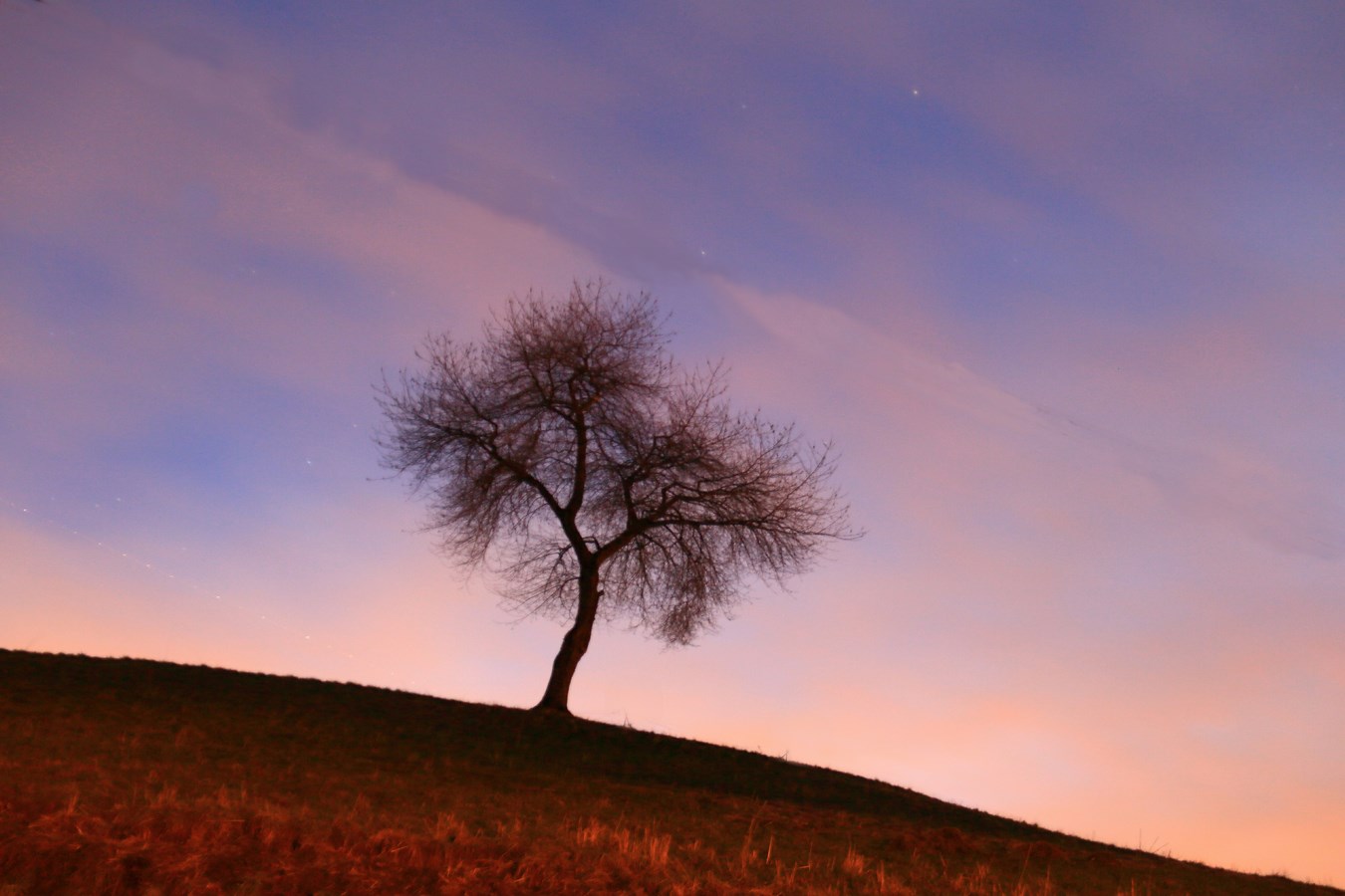 The colors of the sunset