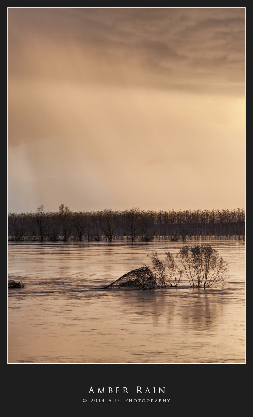 Amber Rain
