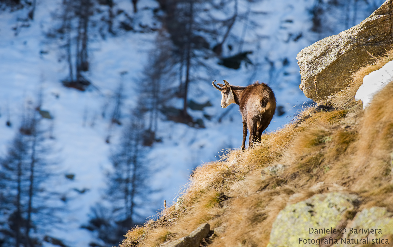 Scollinando tra il chiaro e lo scuro.
