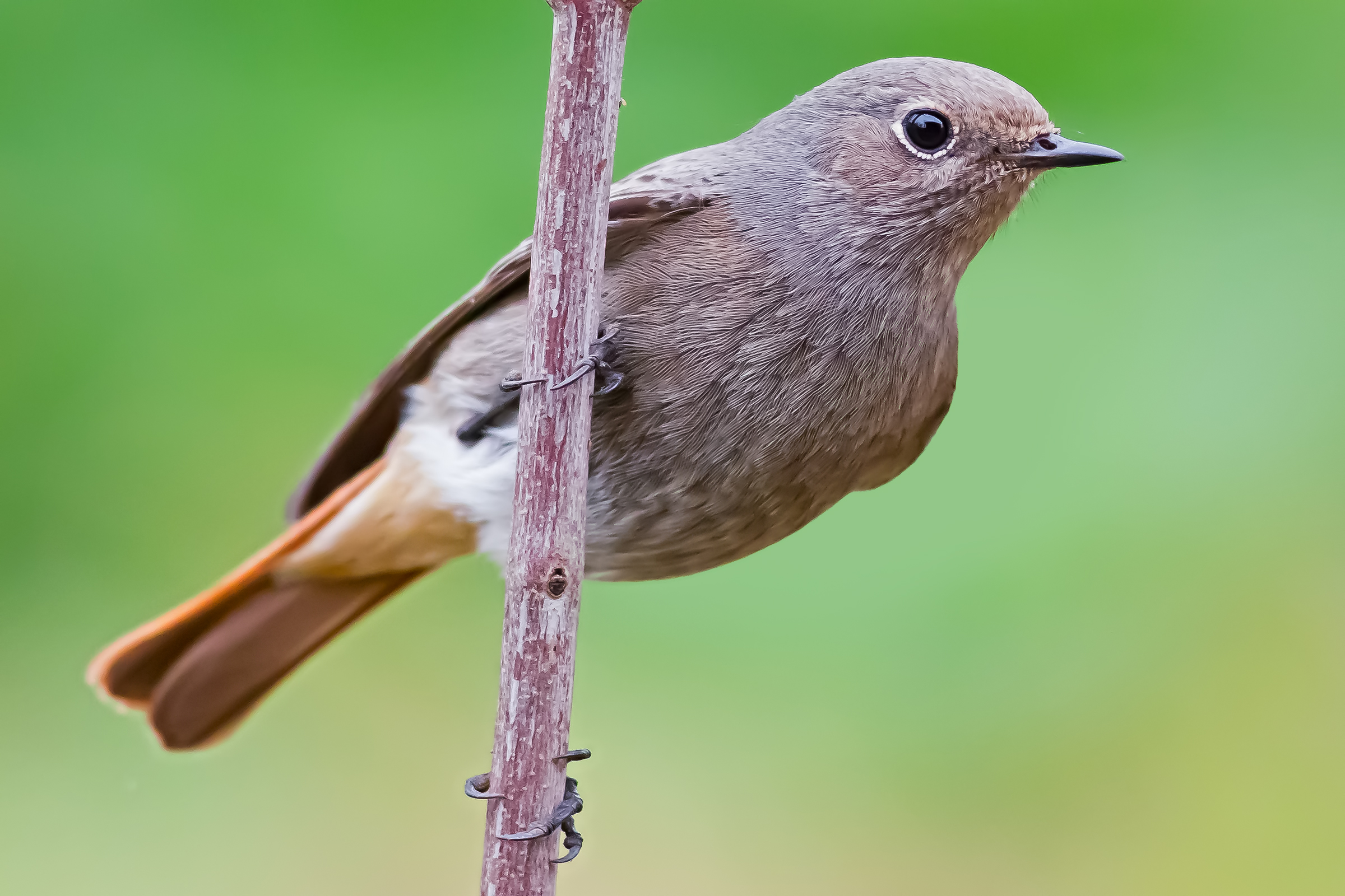 Un vecchio scatto nel hard disk del 2012
