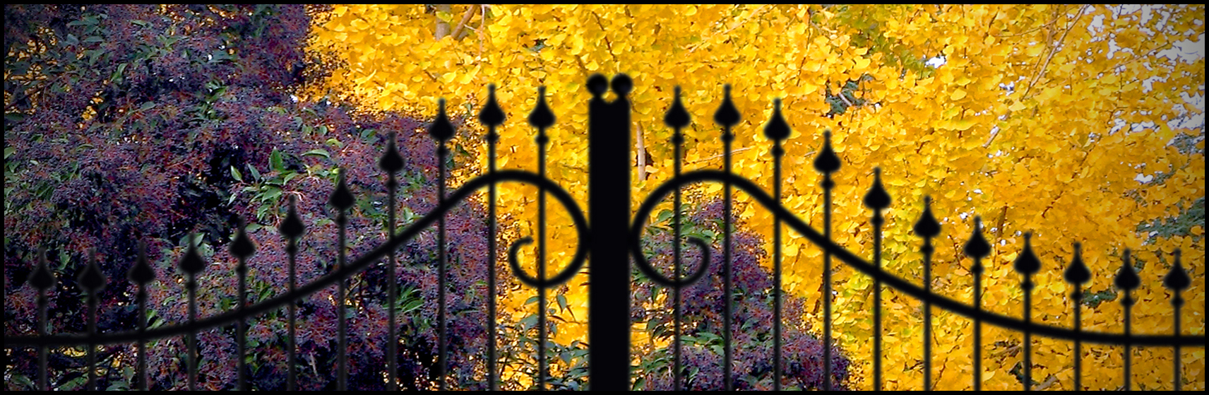 Colors of late autumn