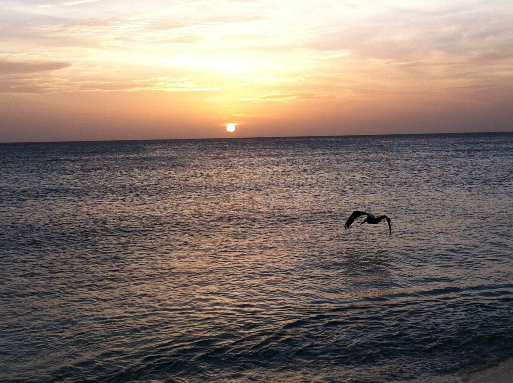 Aruba sunset