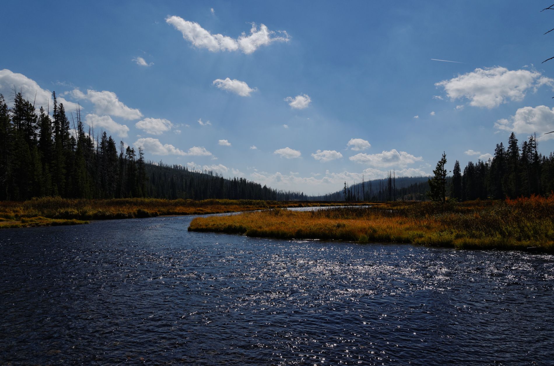 Yellowstone River
