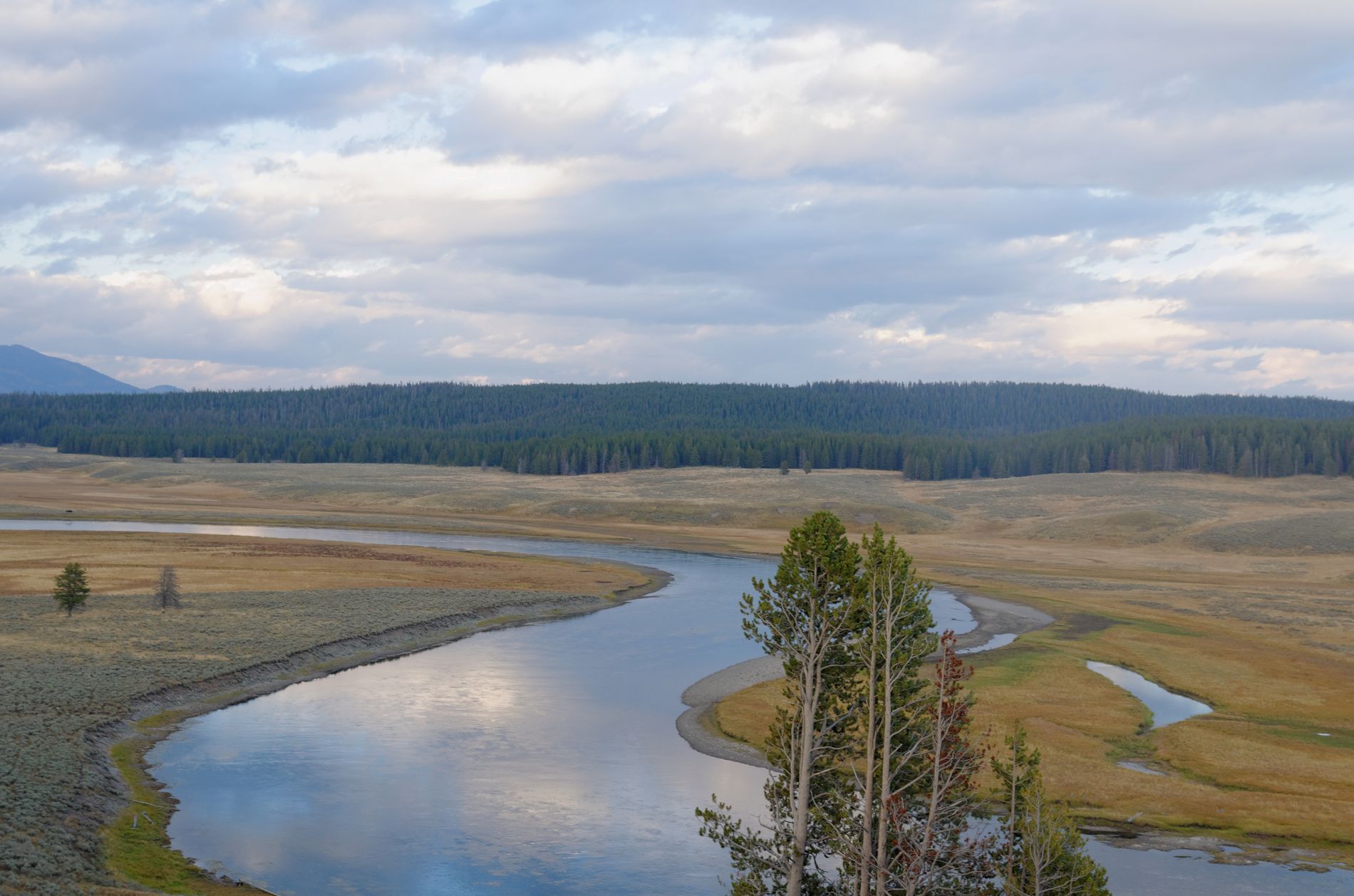 Yellowstone River - Lamar Valley