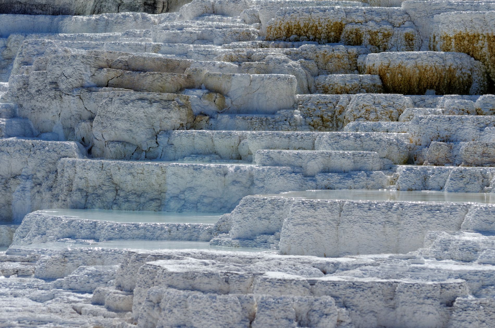 Yellowstone Salt Formation