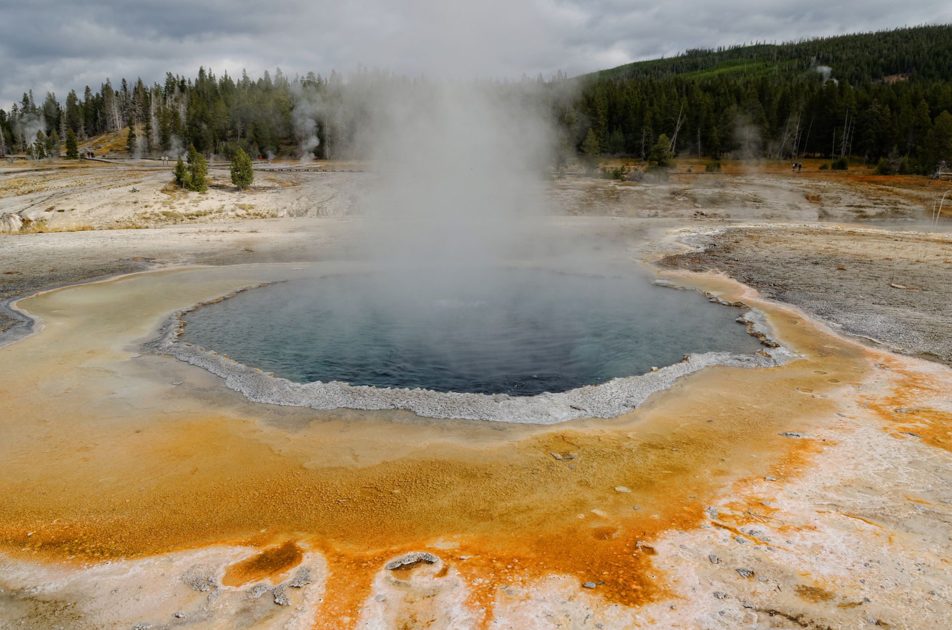 Smoking Yellowstone Spring