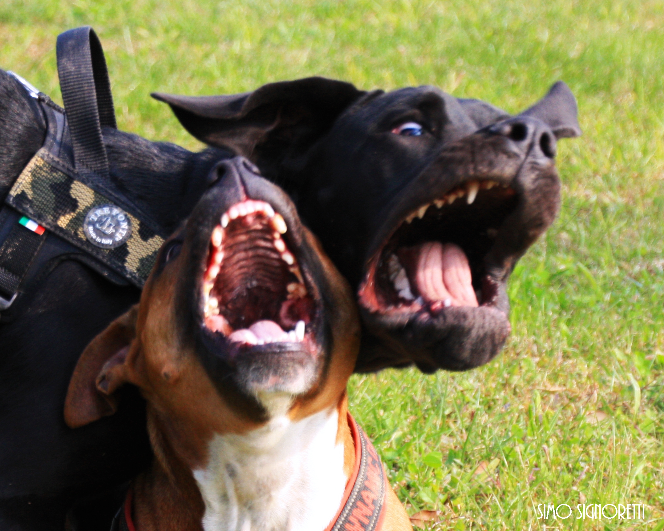 aaaaaahhhhhh!!!!!!!!!!!!!!