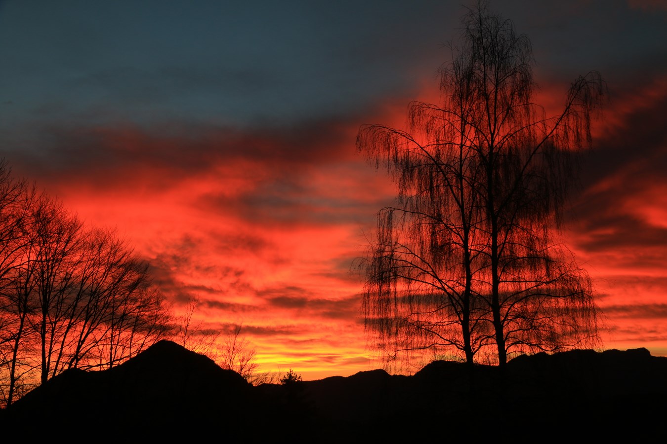 Calorosi auguri a tutti