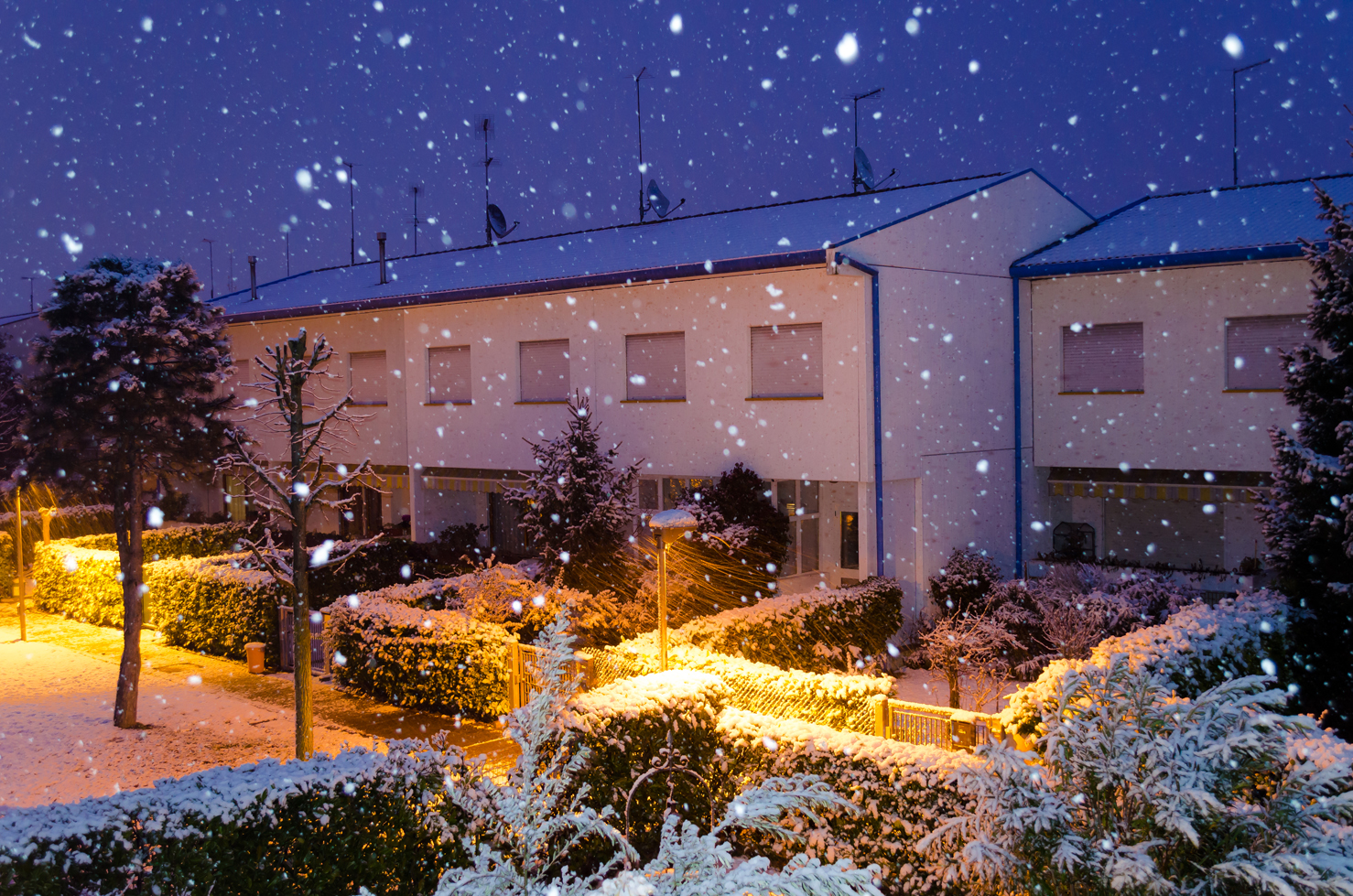 In the silence of a winter night