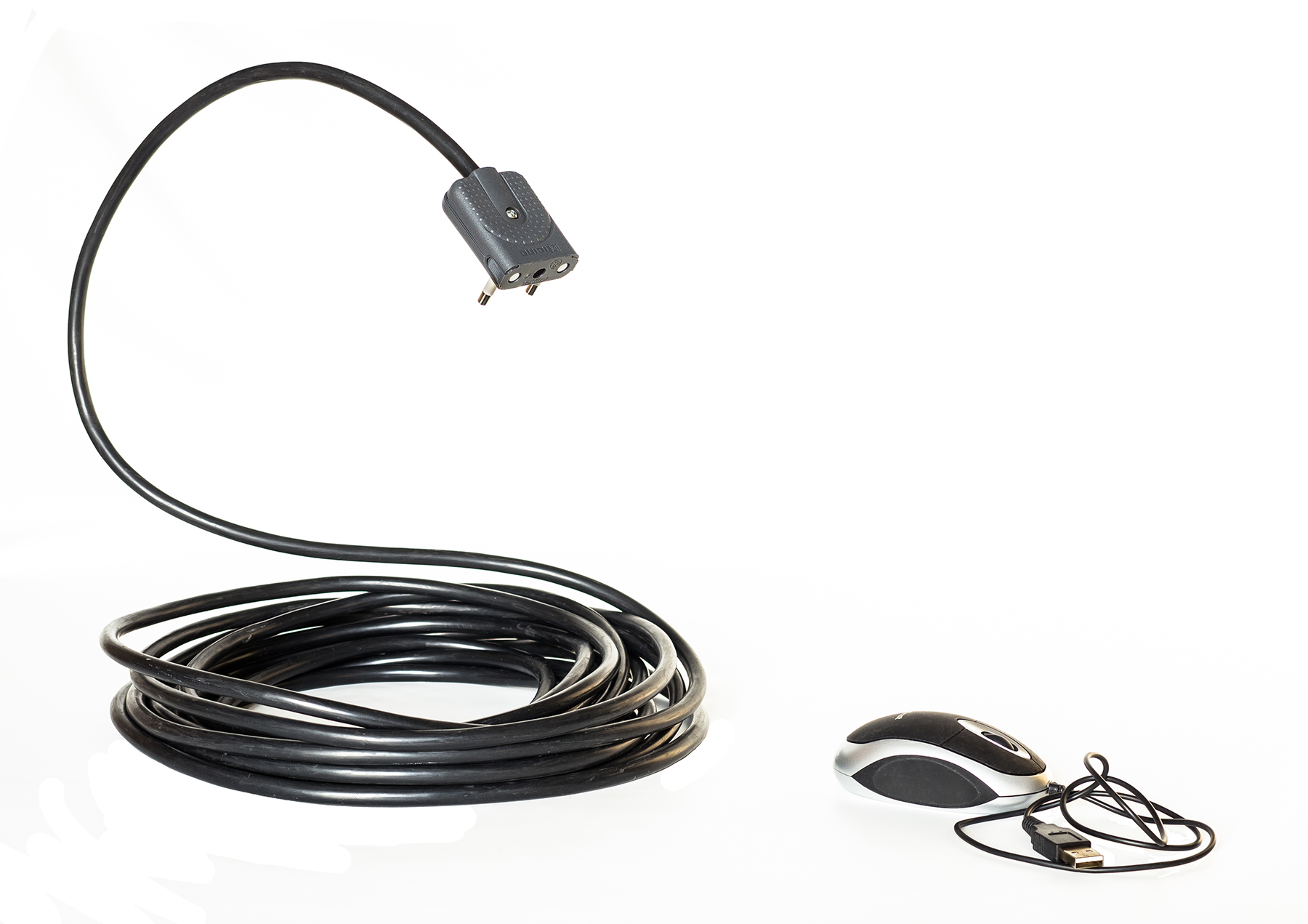 Predator and prey - # 2