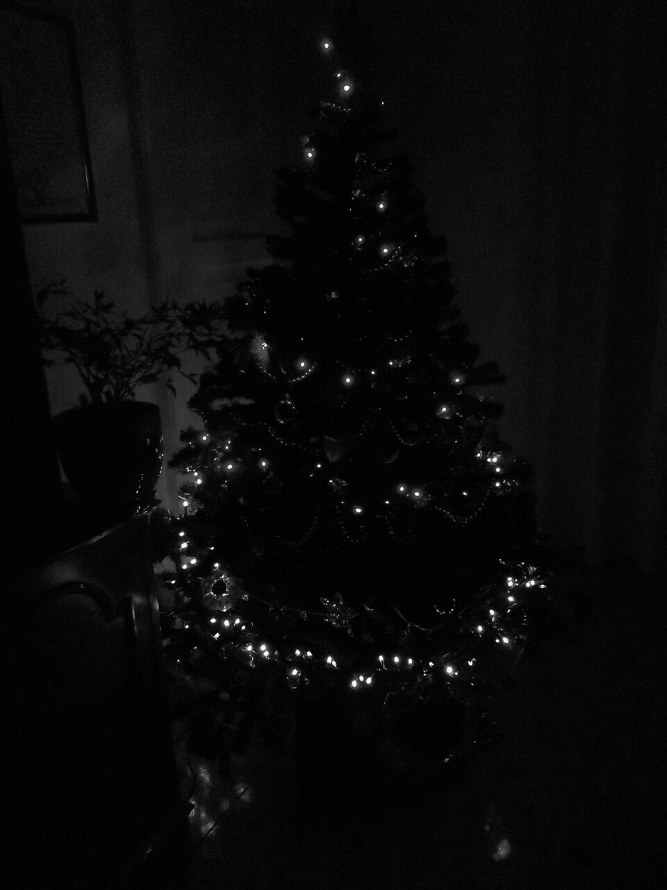 L'albero al bianco e nero