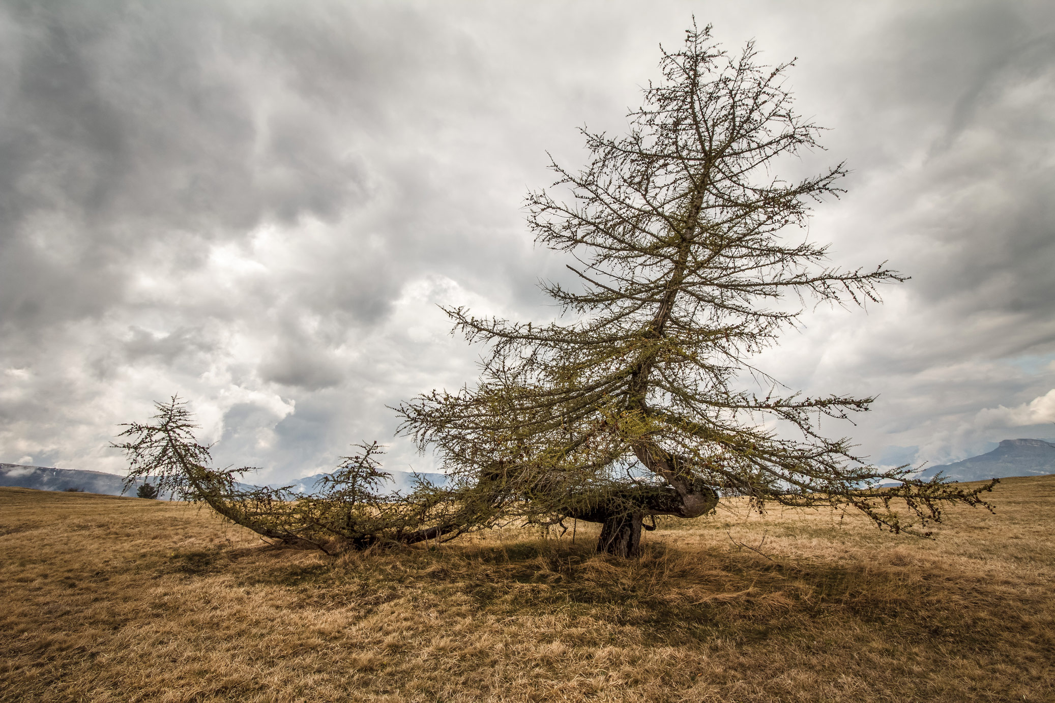 Radically sustainable development