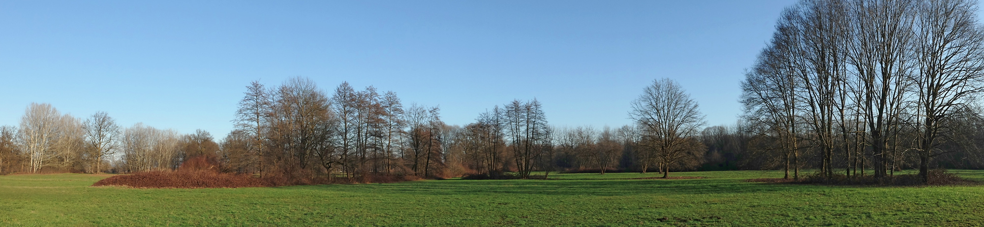 Stupinigi Park