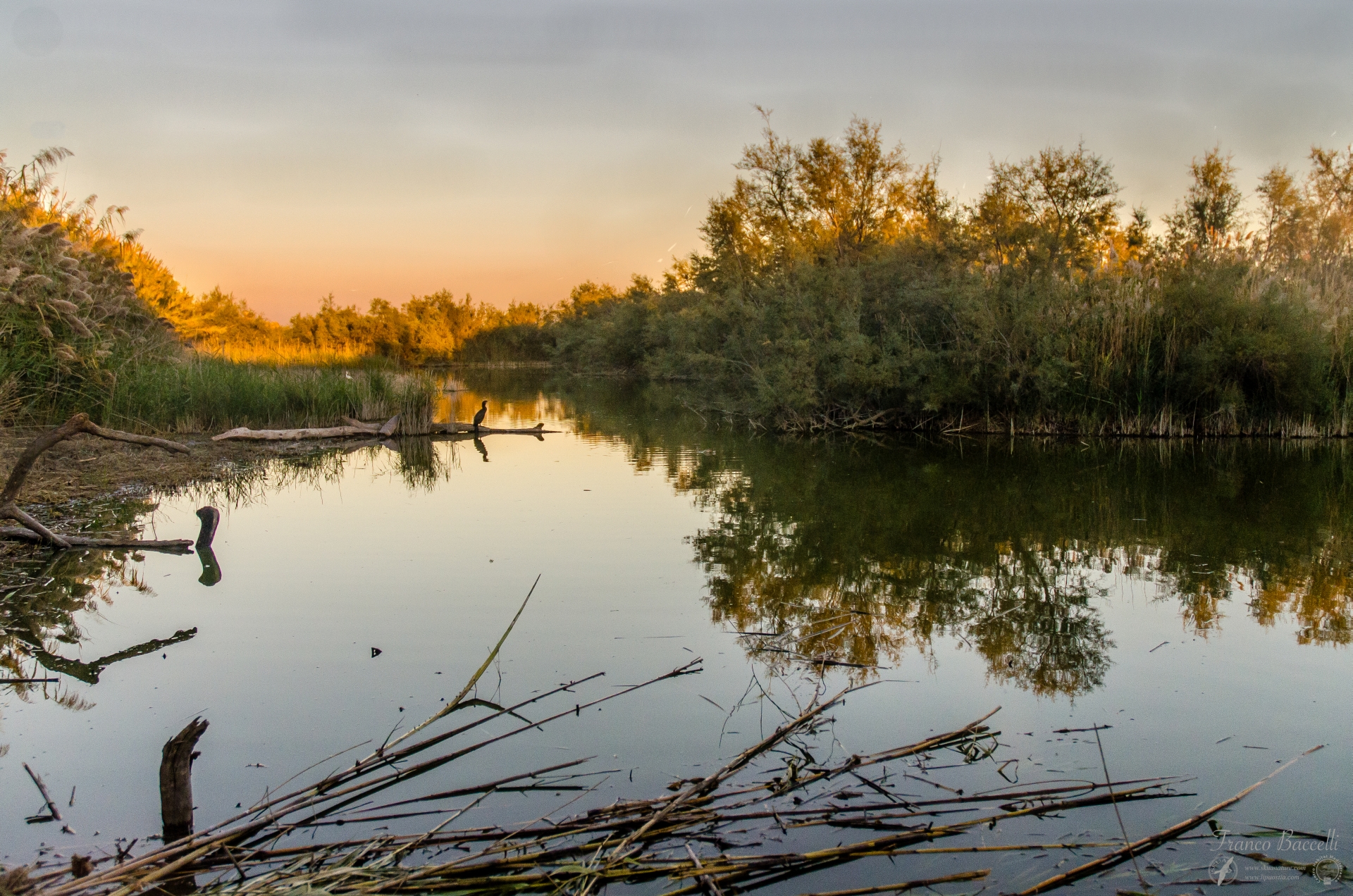 panorama  capanno chm/skua oasi chm lipu ostia