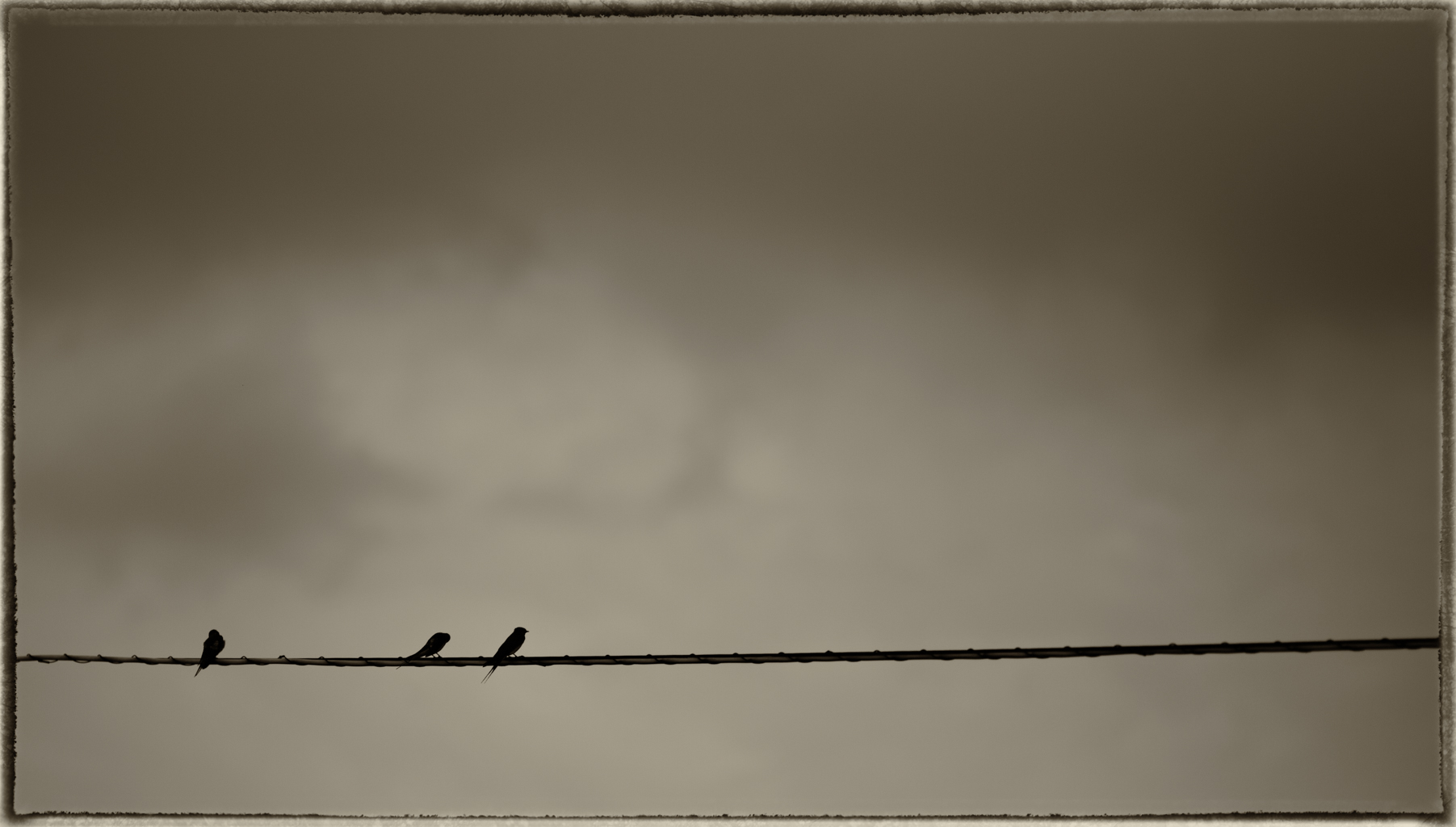 Putignano (Ba) - 2014