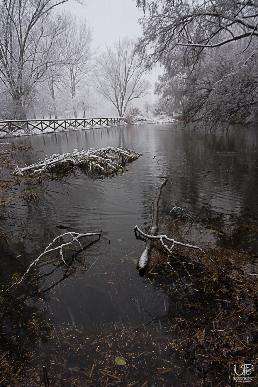 Prima neve al laghetto del parco