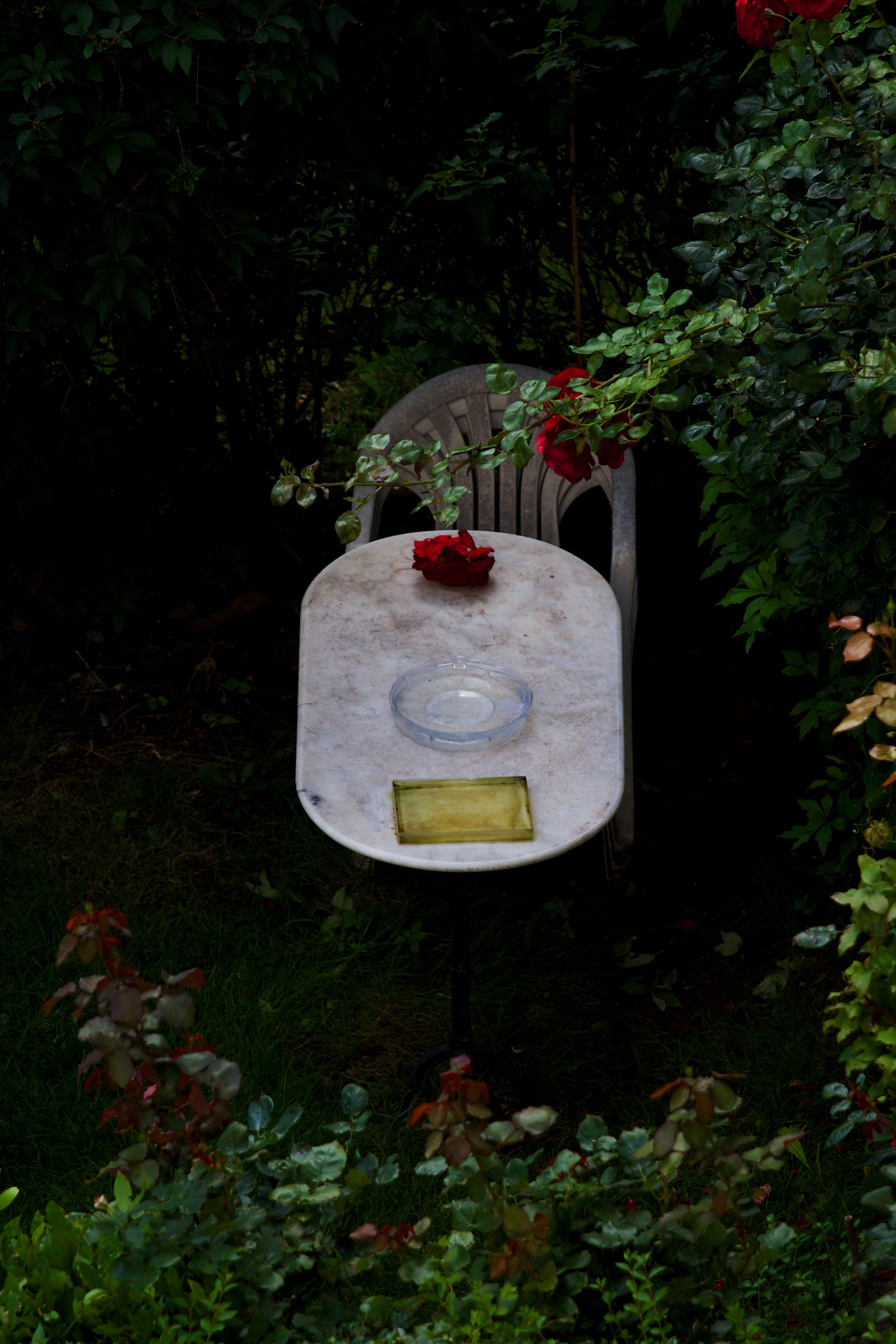 In giardino a Parigi