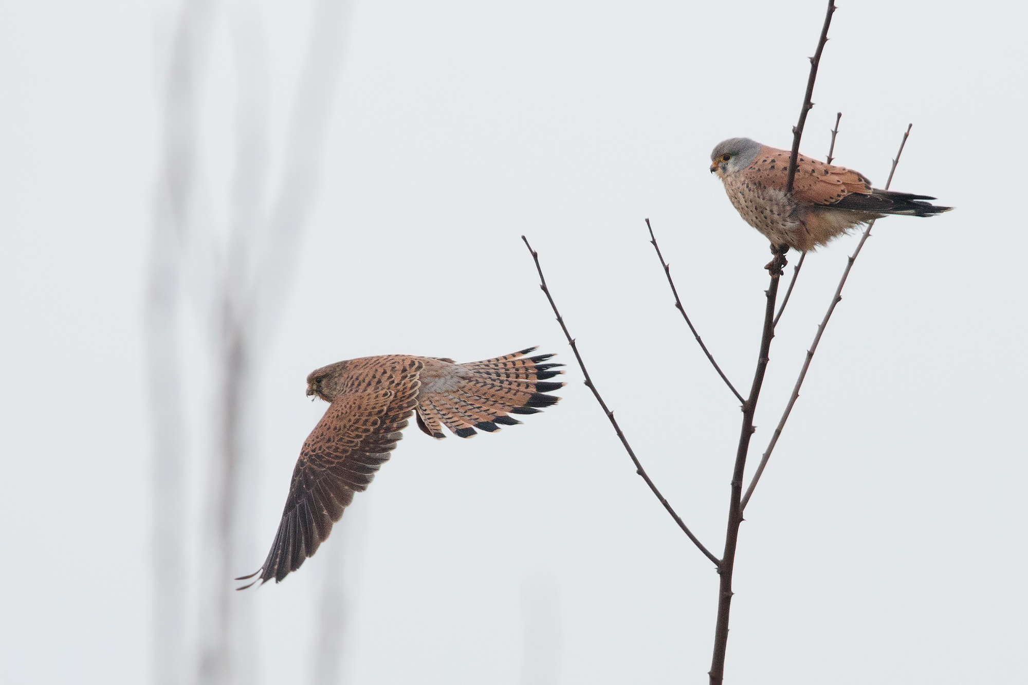 Adesso me ne vado...