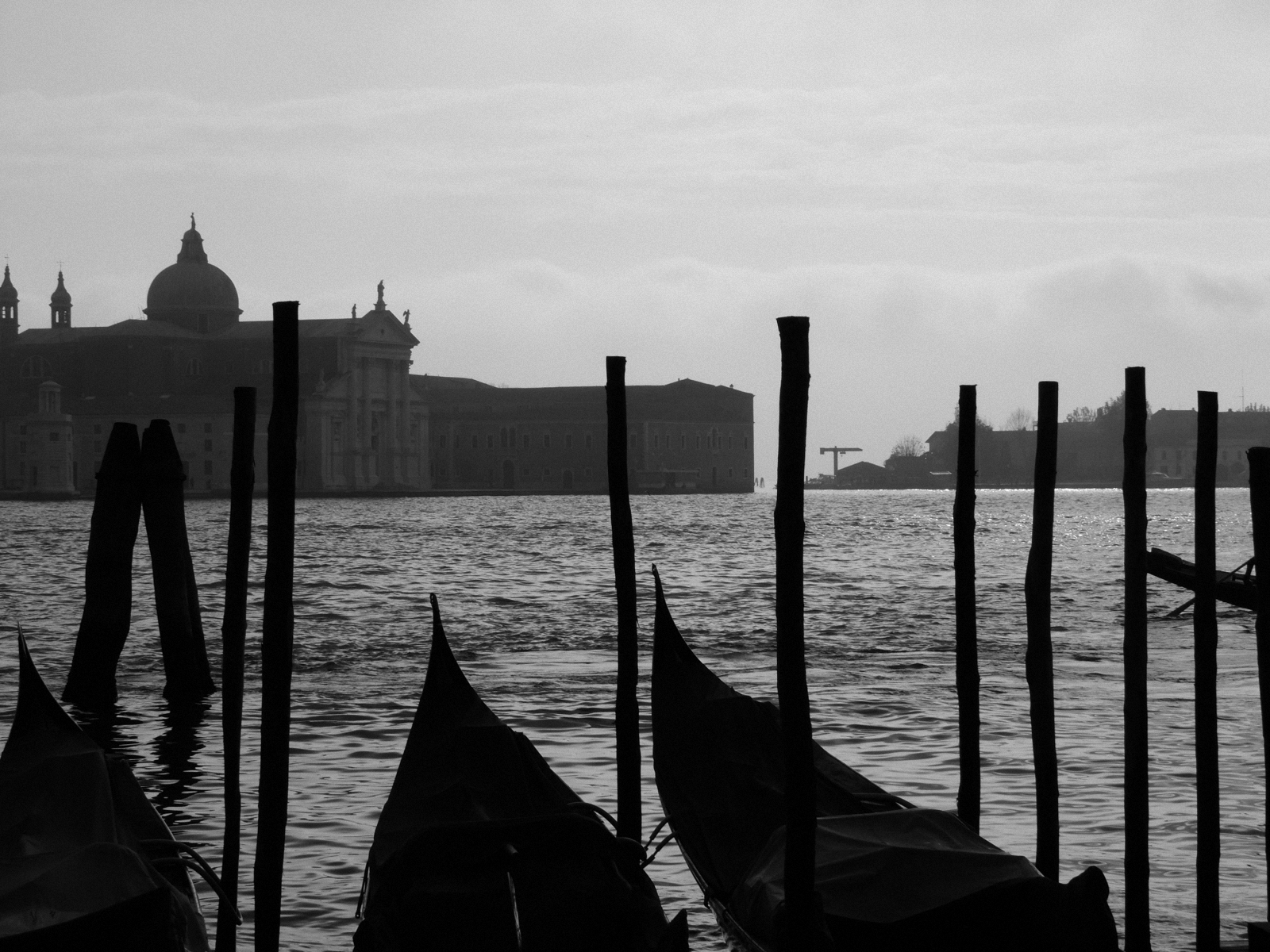 Black and white in Laguna