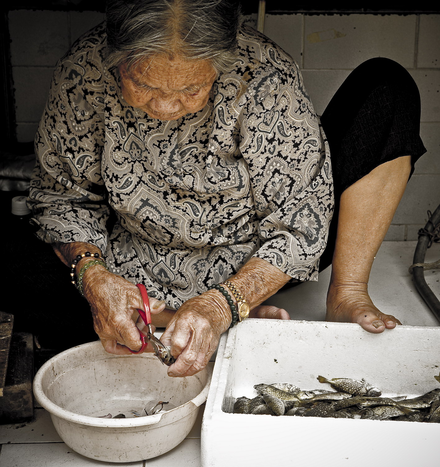 venditrice di pesce al porto di HK