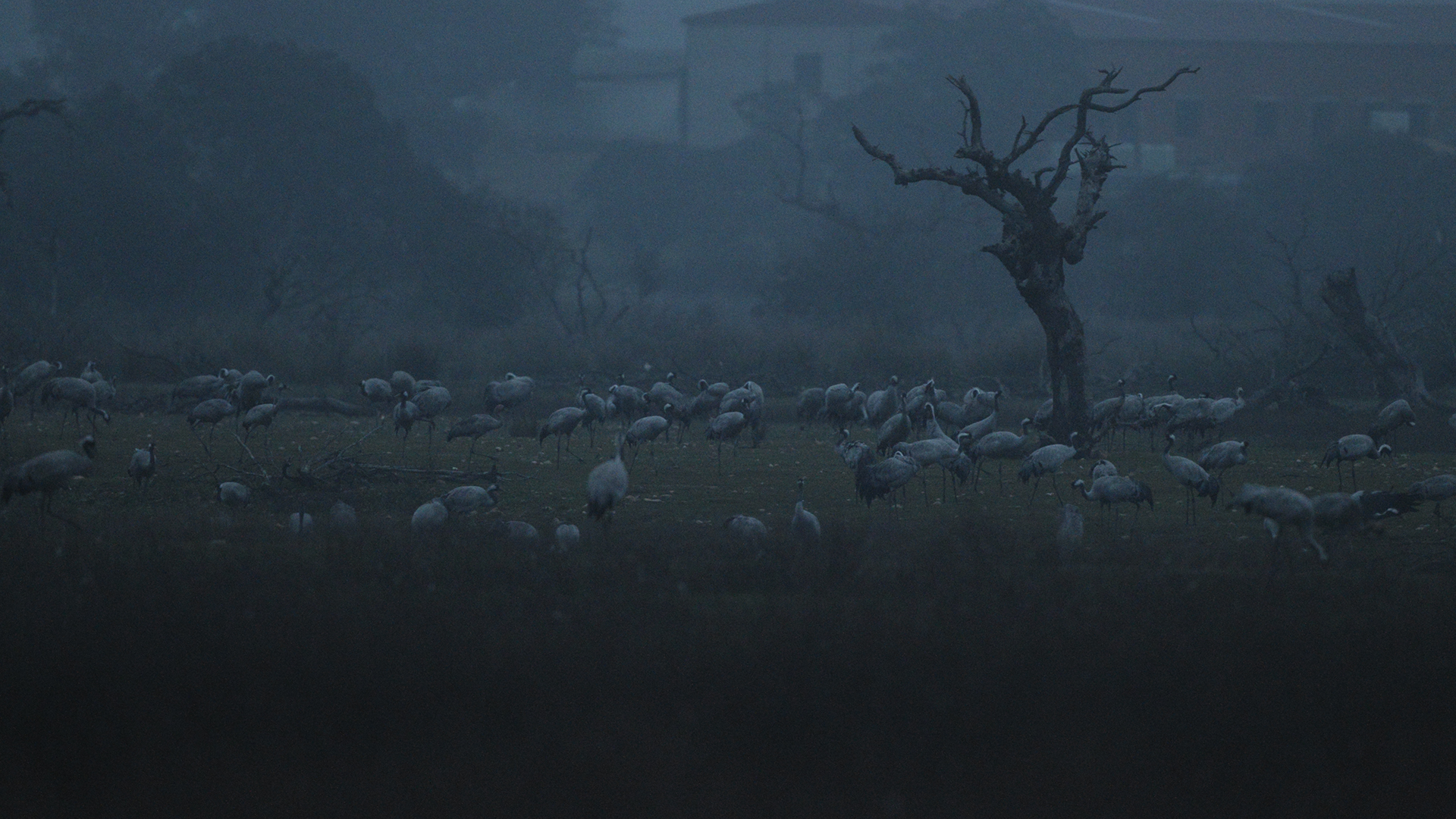 Waiting for the night ....